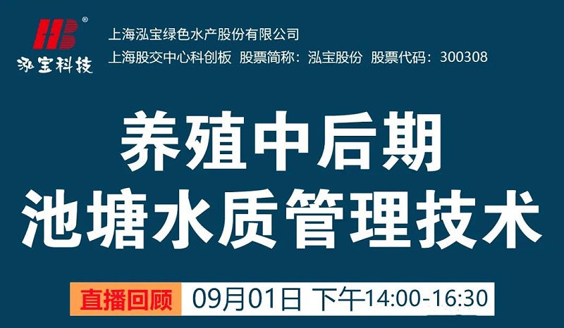 水產(chǎn)養(yǎng)殖中后期水質(zhì)問(wèn)題為什么那么多